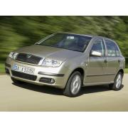 Чехлы на Skoda Fabia 1 (1999-2007)