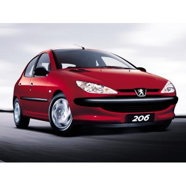 Чехлы на Peugeot 206 хэтчбек (1998-2012) 5 дверей